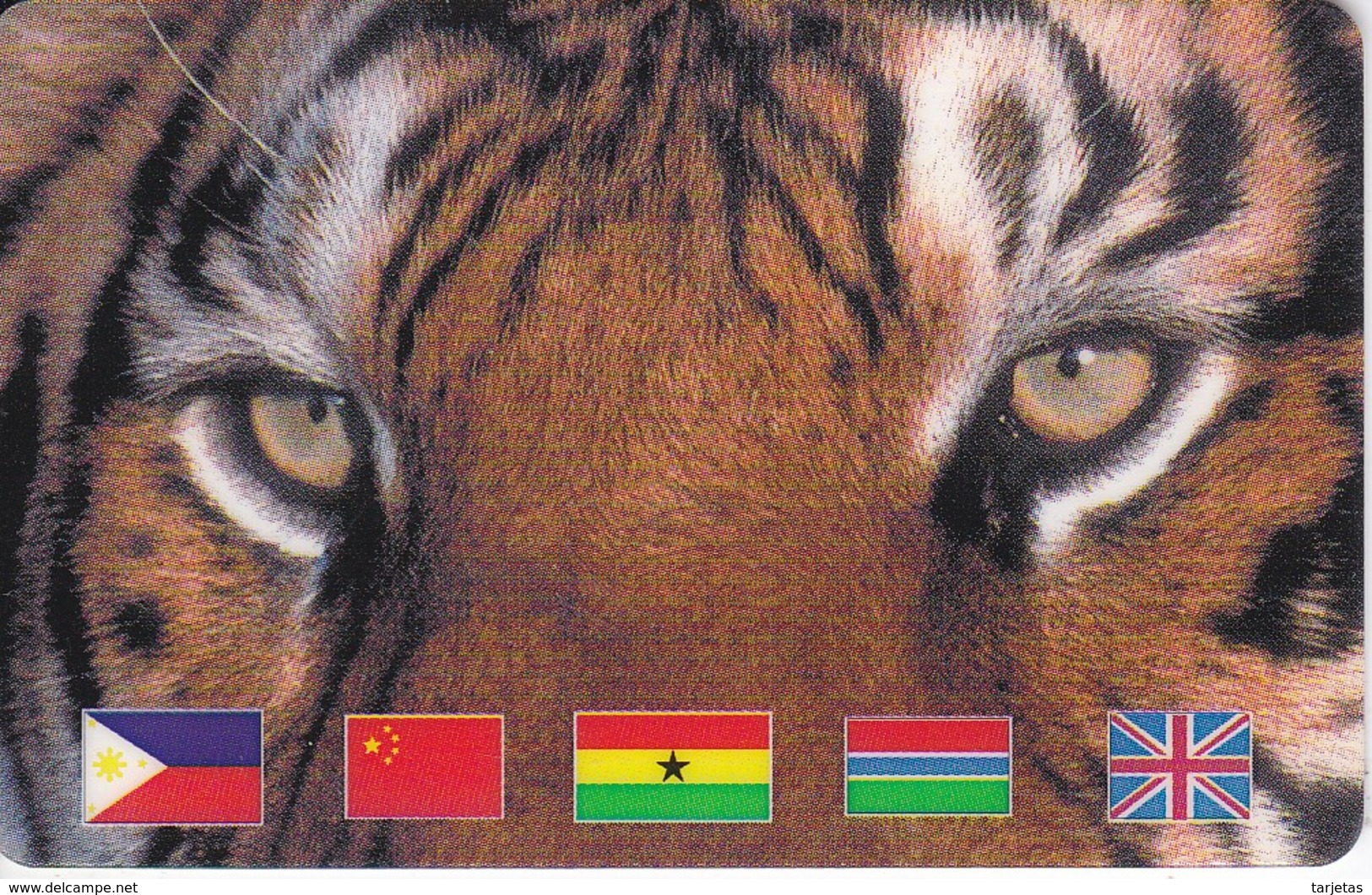 TARJETA DE ESPAÑA DE UN TIGRE  (TIGER) 5 BANDERAS - FLAG - Otros & Sin Clasificación