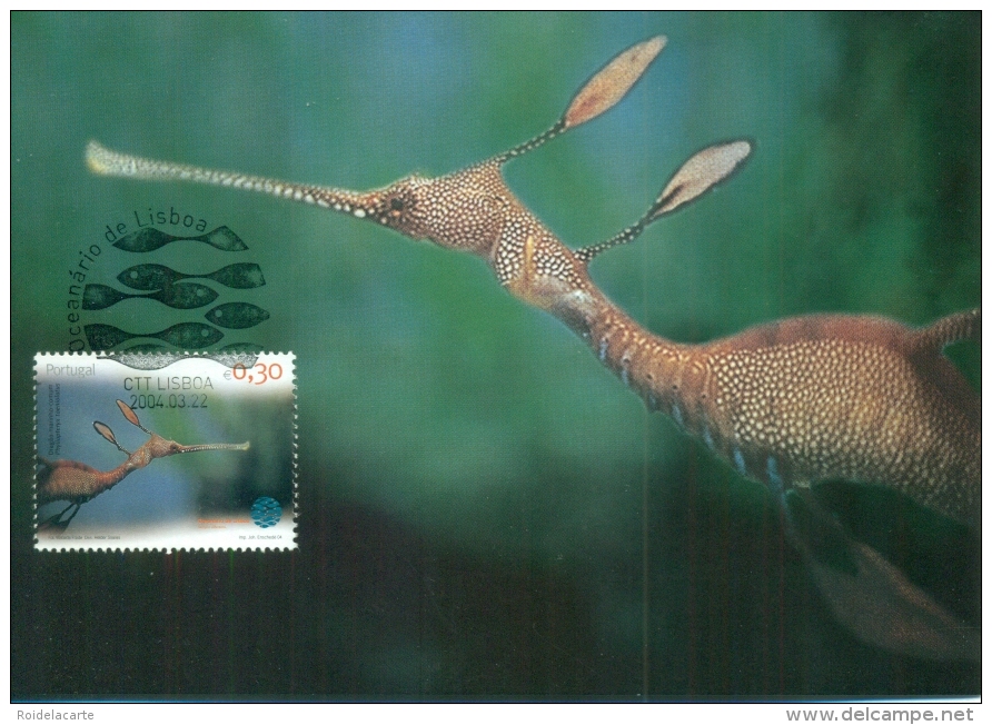 CM-Carte Maximum Card # 2004-Portugal # Animals -Tiere # Ozeanarium, Oceanário De Lisboa # Leafy Sea Dragon, Fetzenfisch - Cartes-maximum (CM)