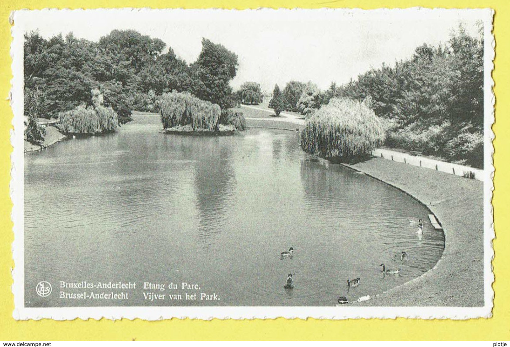 * Anderlecht (Brussel - Bruxelles) * (Nels, Edit A. Durr Et Fils, Nr 52) étang Du Parc, Vijver Van Het Park, Canard - Anderlecht