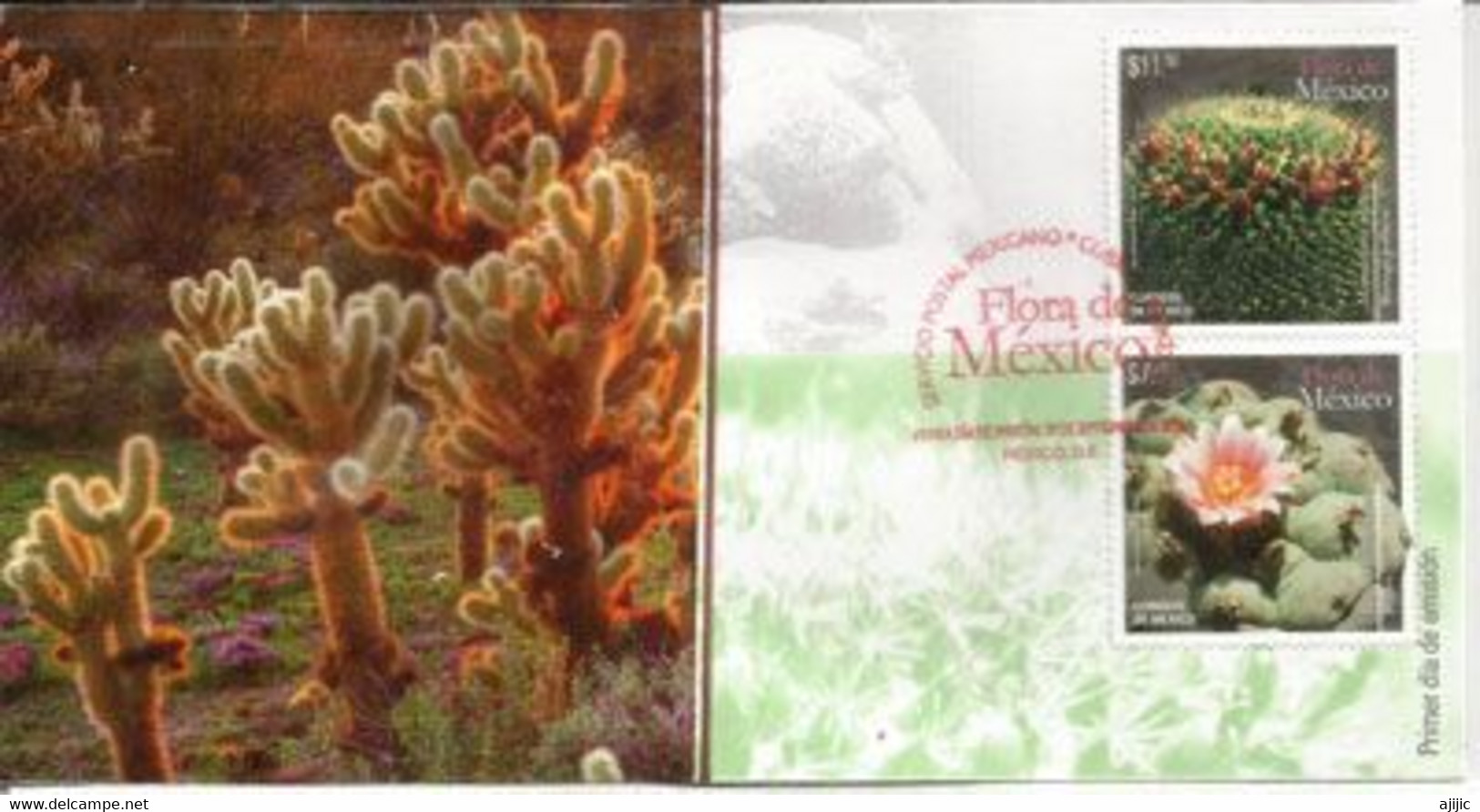 MEXIQUE. Fleurs De Cactus Mammillaria & Peyote .  FDC Année 2015 - Cactus