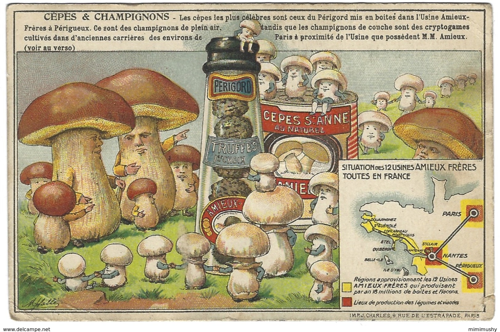 Chromo - Les Champignons Amieux Frères - Champignons Du Périgord - Légumes Humanisés - Autres & Non Classés