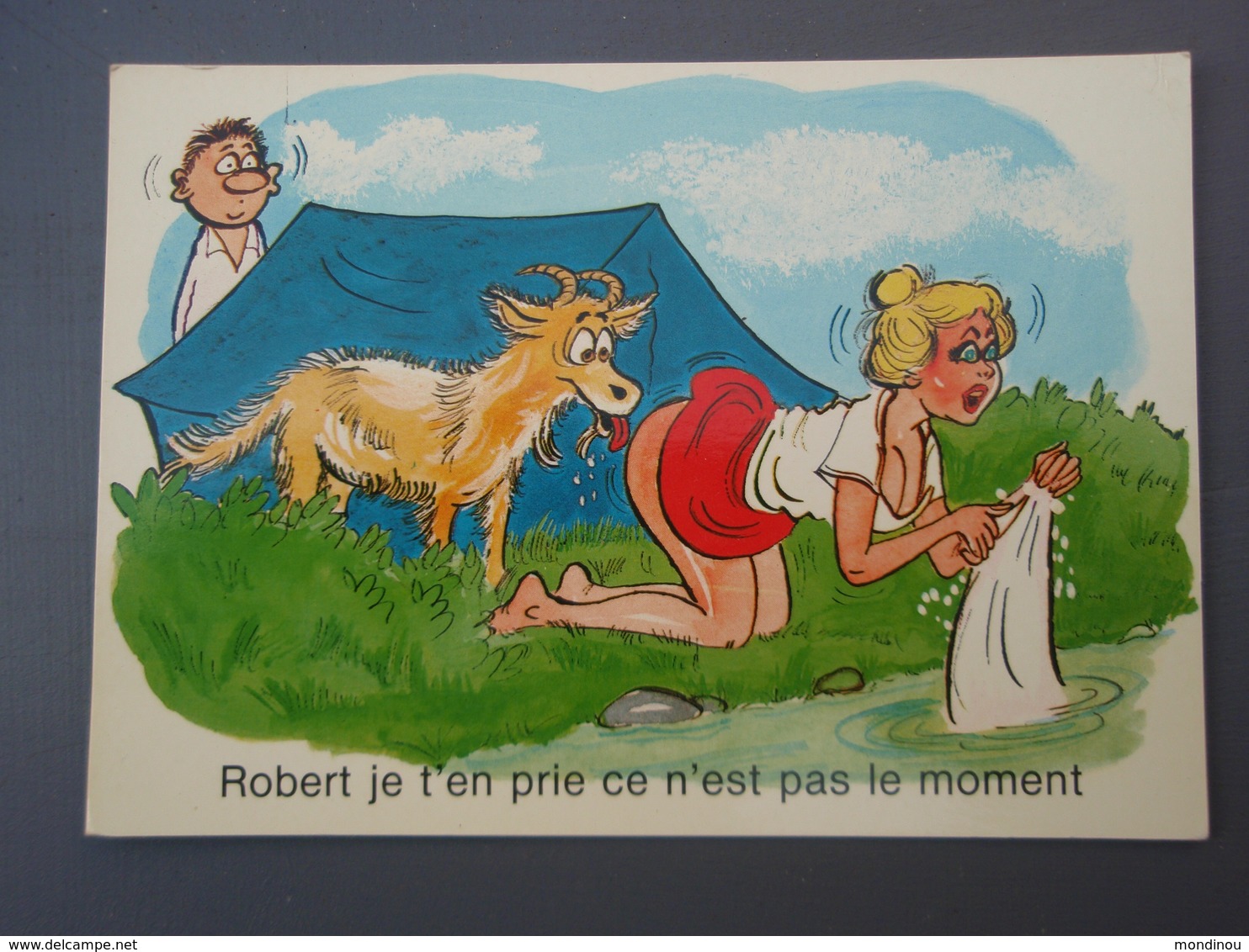 Robert Je T'en Prie Ce N'est Pas Le Moment. Série 888/3 Camping - Humour