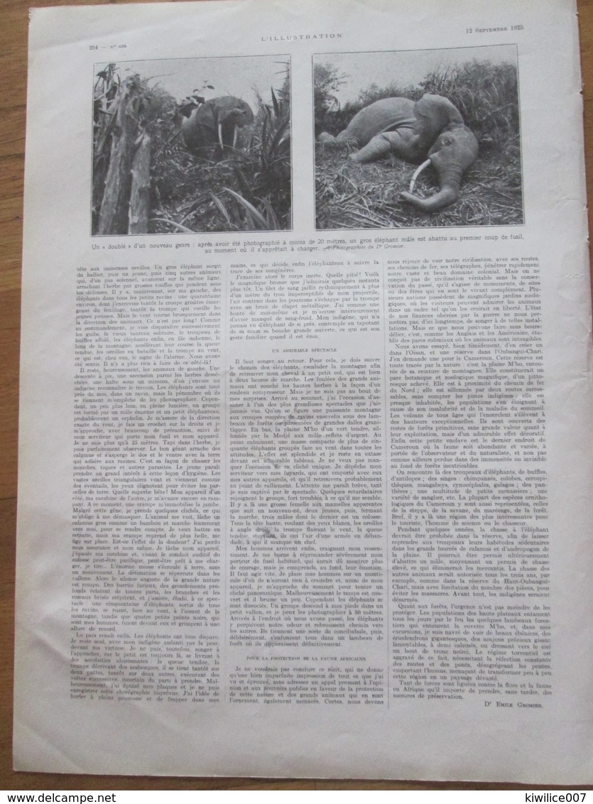 1925  Elephants  Village De  FOREKATCHANG    Cameroun - Non Classés