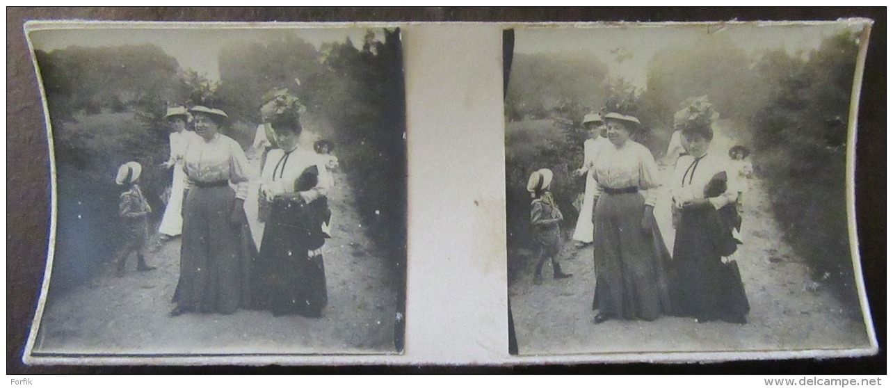 Photo Stéréoscopique - Scène De Vie, Famille, Enfants, Animée - Vers 1900 - Photos Stéréoscopiques