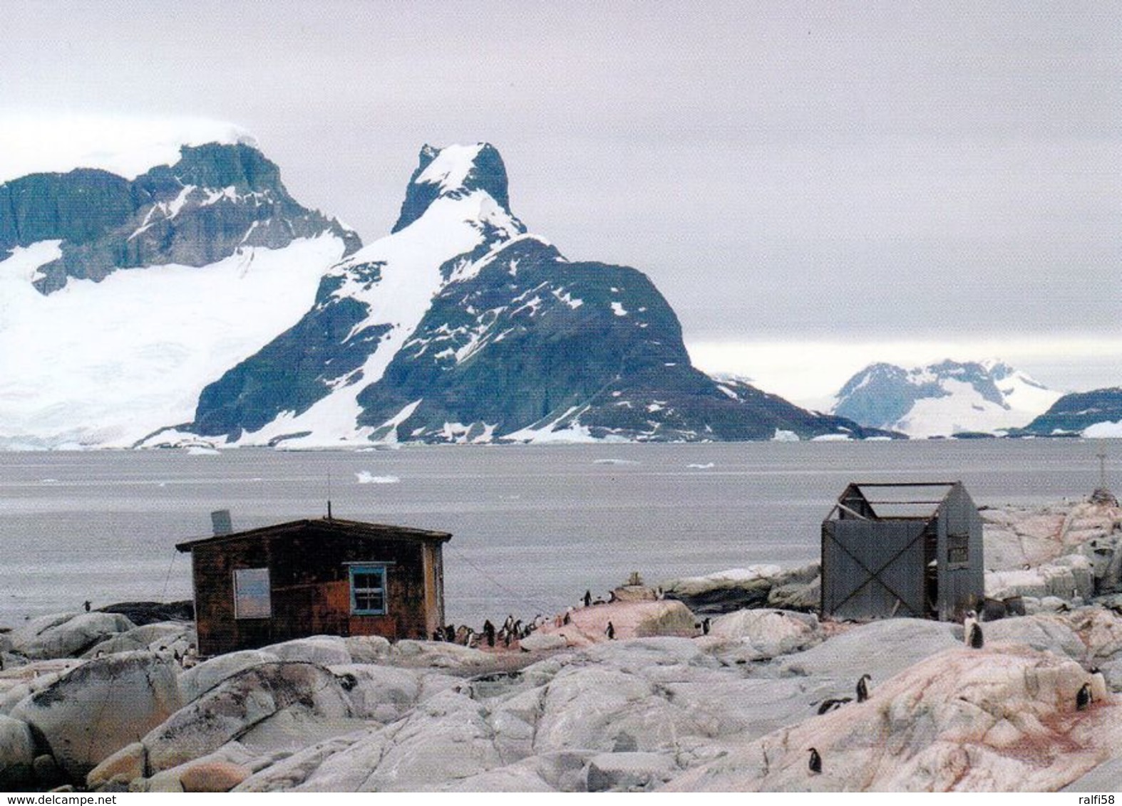 1 AK Antarktis - Antarctica * Petermann Island - Hut "Groussac" Near Port Circumcison - Antarctic Peninsula - Sonstige & Ohne Zuordnung