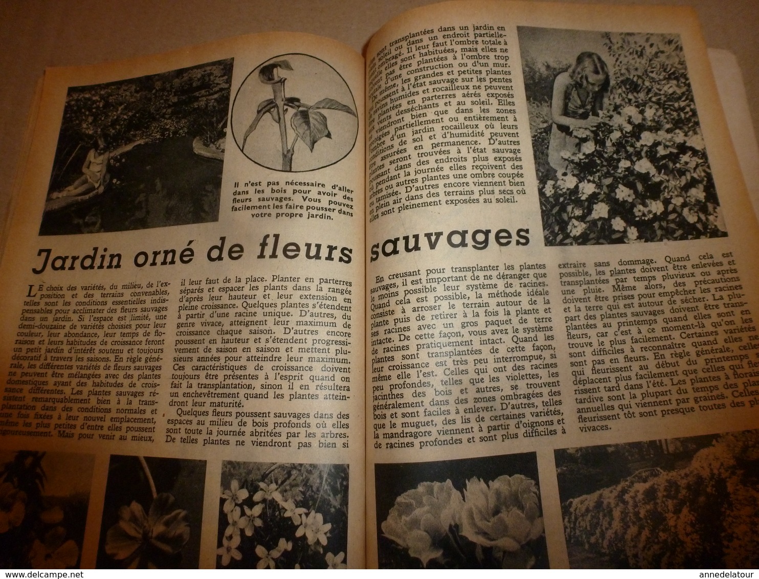 1948 MÉCANIQUE POPULAIRE:Géobotanique pour trouver de l'or;Médecin de poupée;Jardin sauvage;Faire un Cruiser-moteur;etc