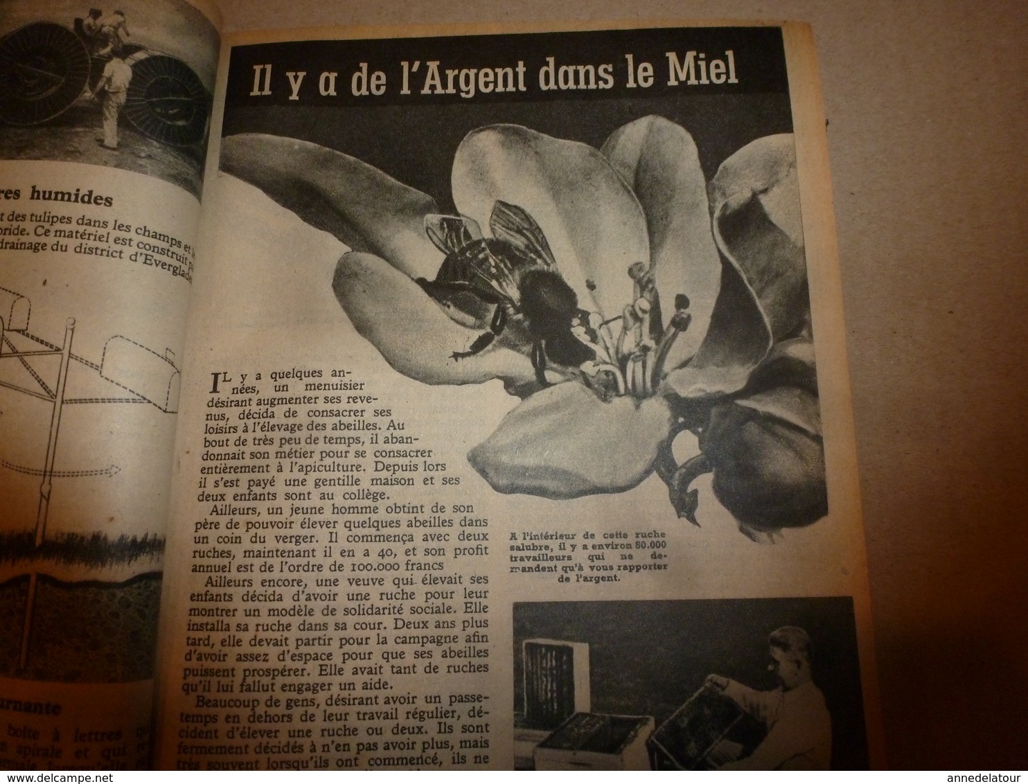 1948 Berdeen; De l'argent dans le miel; Les maisons de boue ; Les DIABLES à deux roues; etc