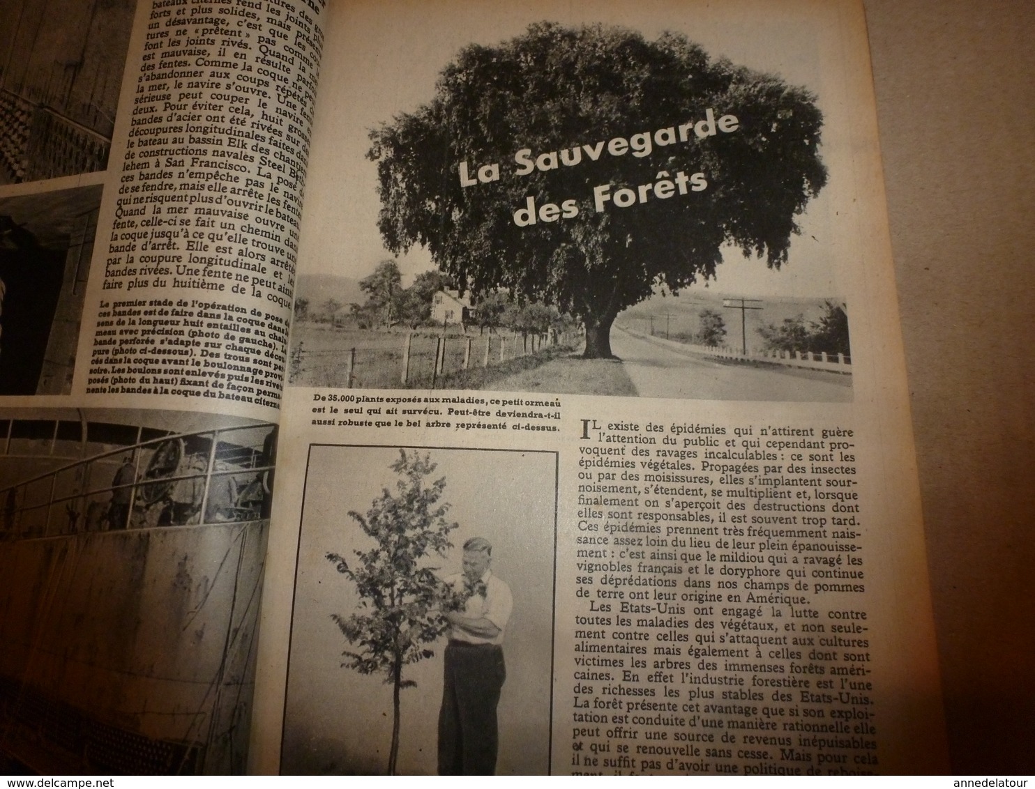 1948 MÉCANIQUE POPULAIRE:Automobile Hudson;Sauvegarde des forêts; L'avion CONSTITUTION;Chasse au puma;Cruiser-moteur;etc