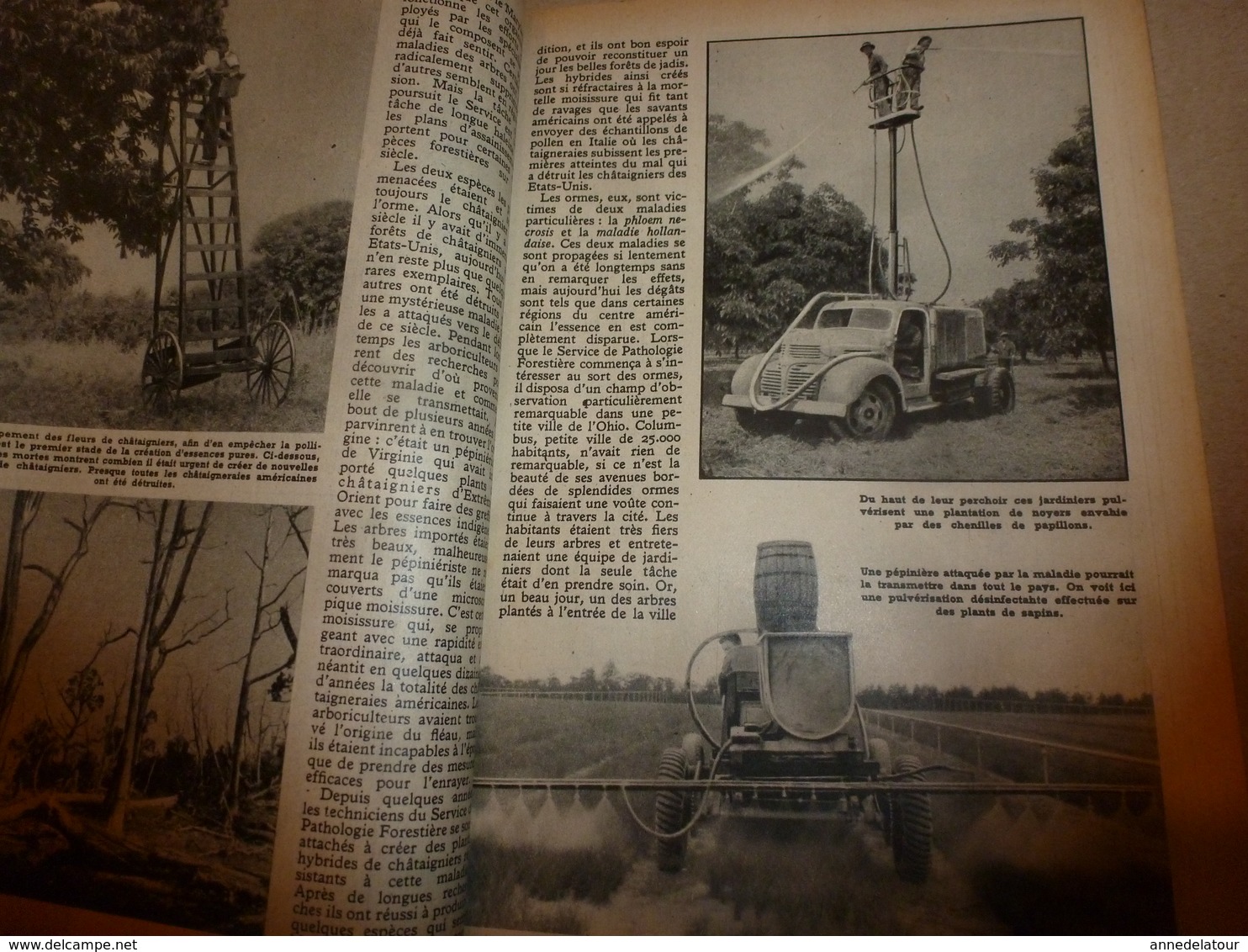 1948 MÉCANIQUE POPULAIRE:Automobile Hudson;Sauvegarde des forêts; L'avion CONSTITUTION;Chasse au puma;Cruiser-moteur;etc