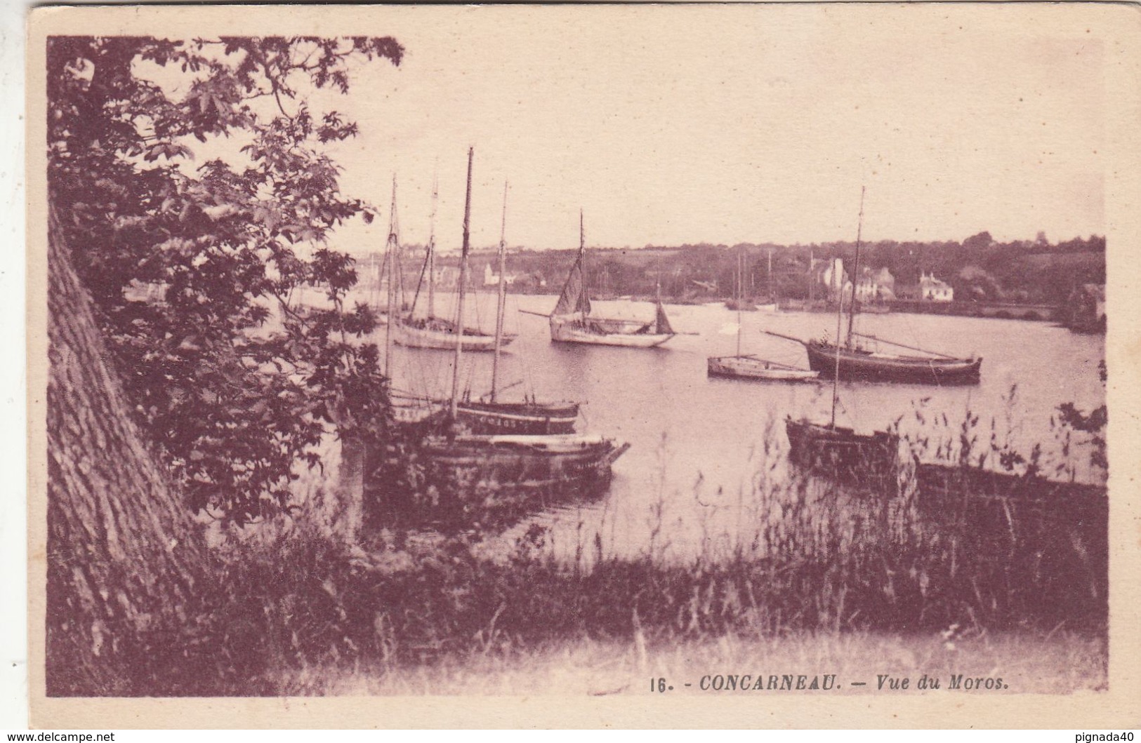 Cp , 29 , CONCARNEAU , Vue Du Moros - Concarneau