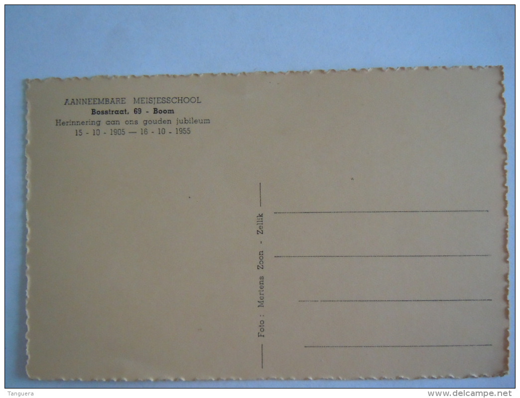 Boom Bosstraat Aanneembare Meisjesschool Gouden Jubileum 1955 Foto Mertenss Zoon Zellik - Boom