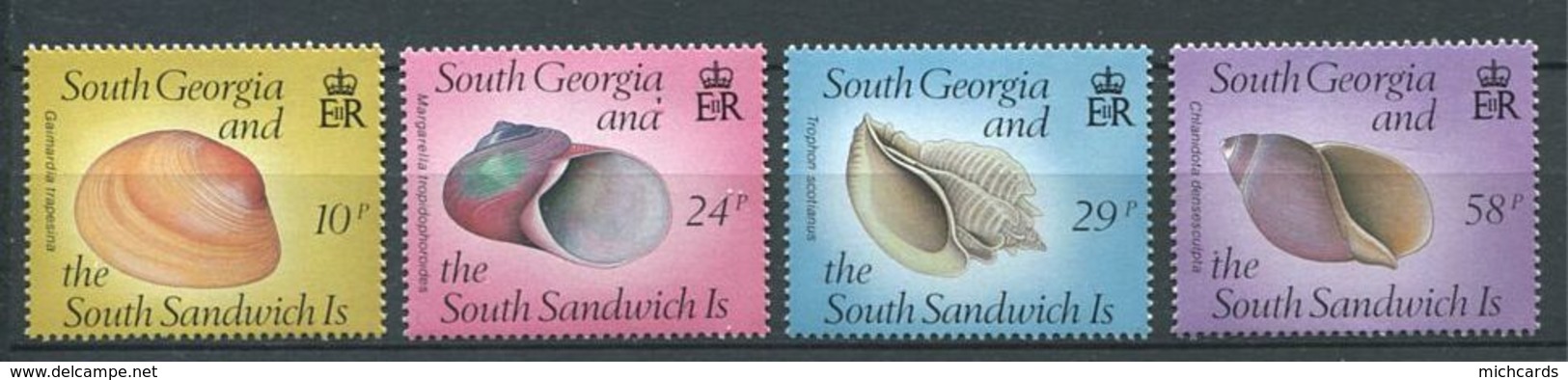 239 SUD GEORGIE 1988 - Yvert 184/87 - Coquillage - Neuf **(MNH) Sans Trace De Charniere - Géorgie Du Sud