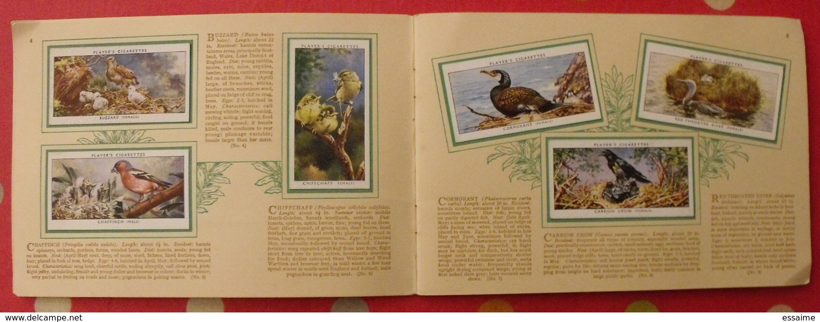 Album D'images Cigarette Pictures Card John Player. En Anglais. Birds & Young, Oiseaux & Petits. 1935. 50 Chromo - Sammelbilderalben & Katalogue