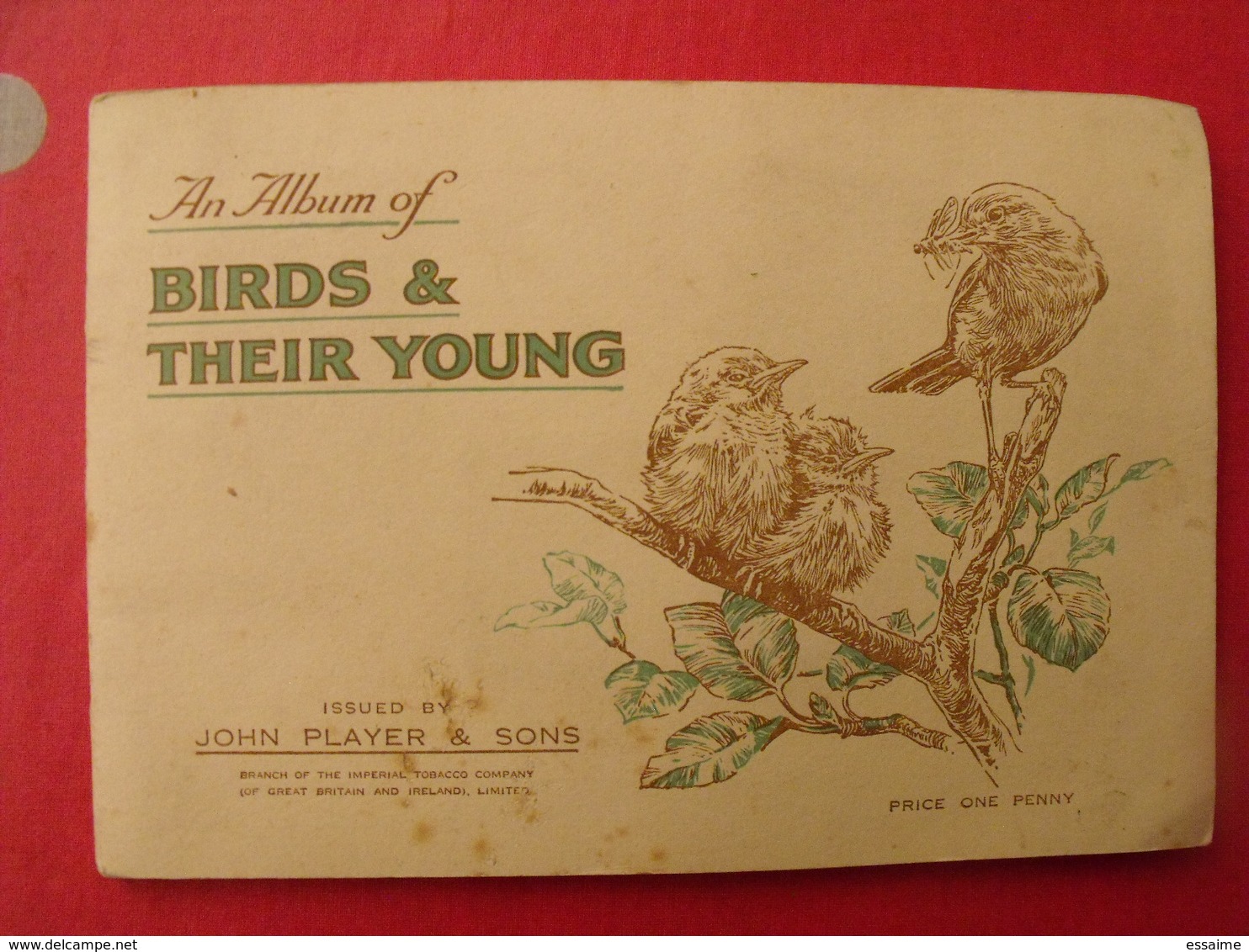 Album D'images Cigarette Pictures Card John Player. En Anglais. Birds & Young, Oiseaux & Petits. 1935. 50 Chromo - Albums & Katalogus