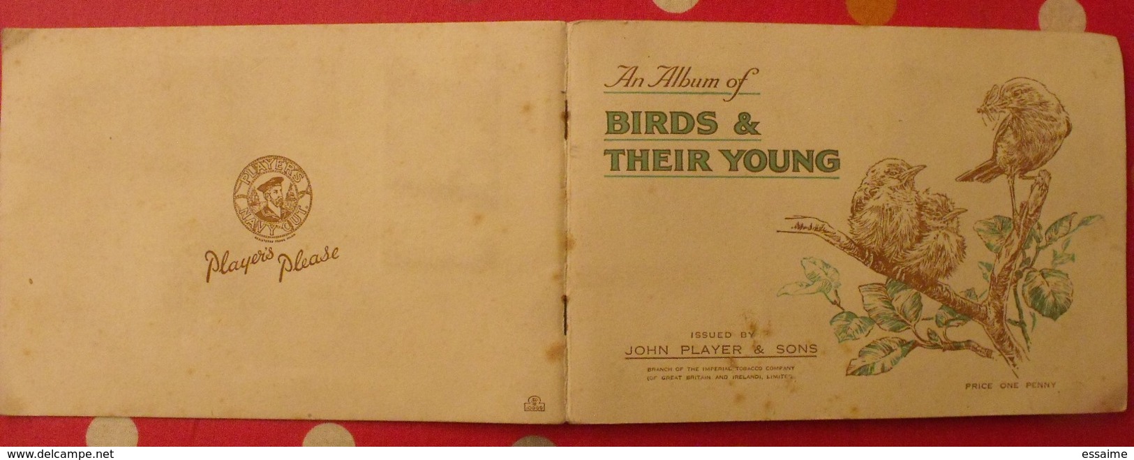 Album D'images Cigarette Pictures Card John Player. En Anglais. Birds & Young, Oiseaux & Petits. 1935. 50 Chromo - Albums & Catalogues