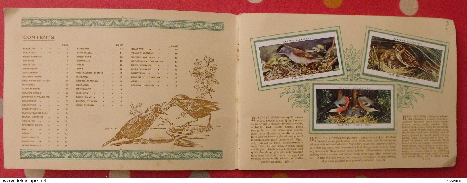 Album D'images Cigarette Pictures Card John Player. En Anglais. Birds & Young, Oiseaux & Petits. 1935. 50 Chromo - Sammelbilderalben & Katalogue