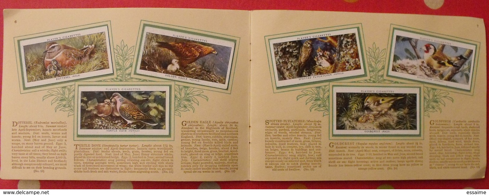Album D'images Cigarette Pictures Card John Player. En Anglais. Birds & Young, Oiseaux & Petits. 1935. 50 Chromo - Sammelbilderalben & Katalogue
