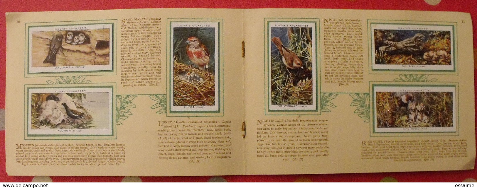 album d'images cigarette pictures card john player. en anglais. birds & young, oiseaux & petits. 1935. 50 chromo