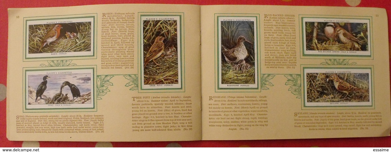 album d'images cigarette pictures card john player. en anglais. birds & young, oiseaux & petits. 1935. 50 chromo
