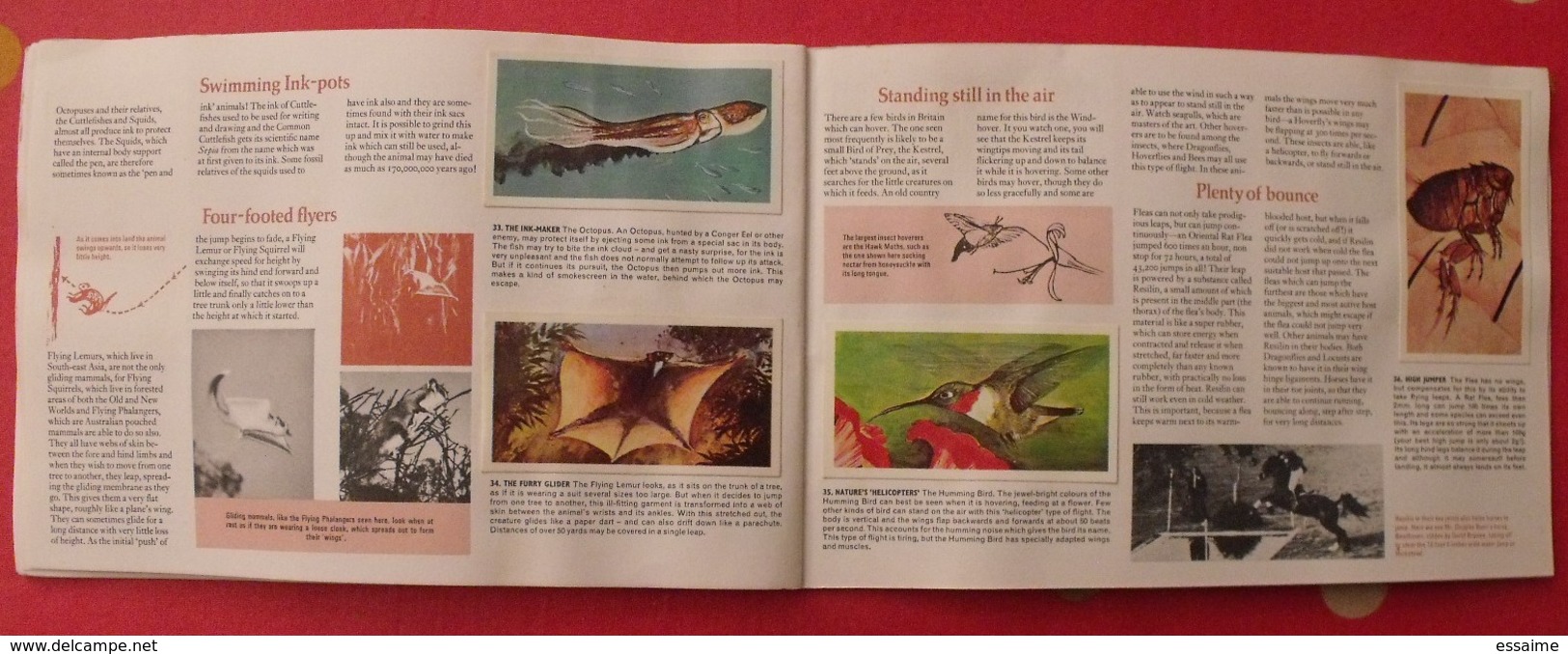 album d'images tea brooke bond pictures cards. en anglais.wonders wildlife. merveilles vie sauvage. 1970. 50 chromo