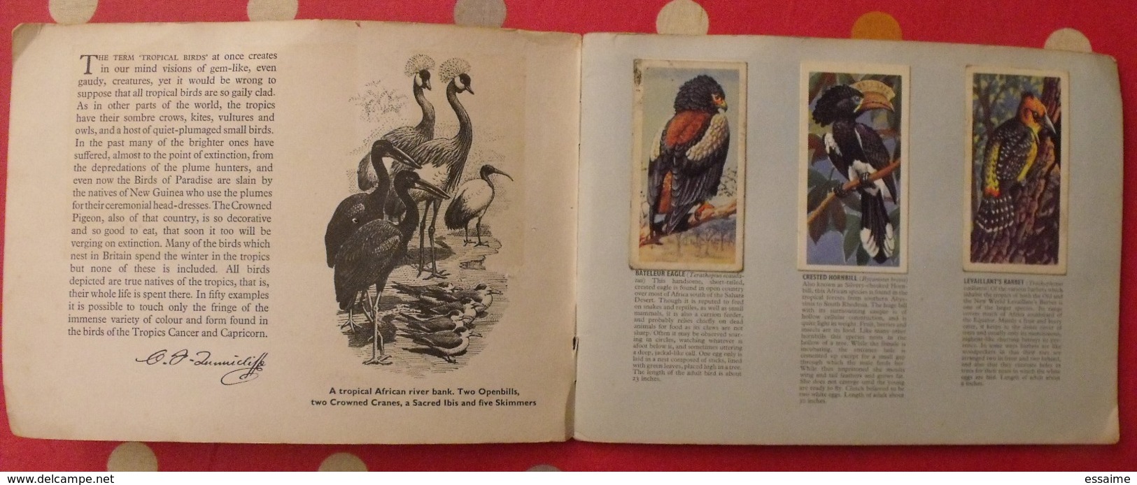 Album D'images Tea Brooke Bond Pictures Cards. Tropical Birds, Oiseaux Tropicaux. 1969. 50 Chromo - Albumes & Catálogos