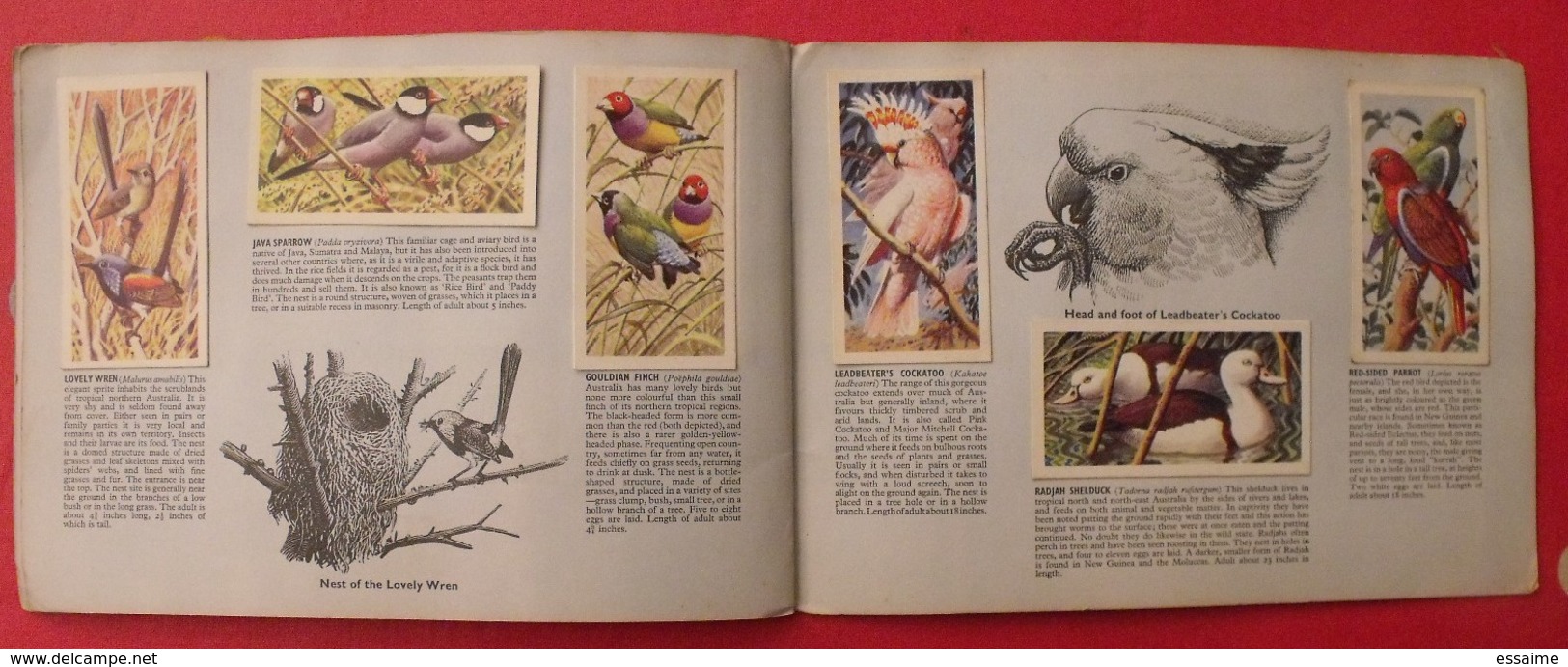 album d'images tea brooke bond pictures cards. tropical birds, oiseaux tropicaux. 1969. 50 chromo