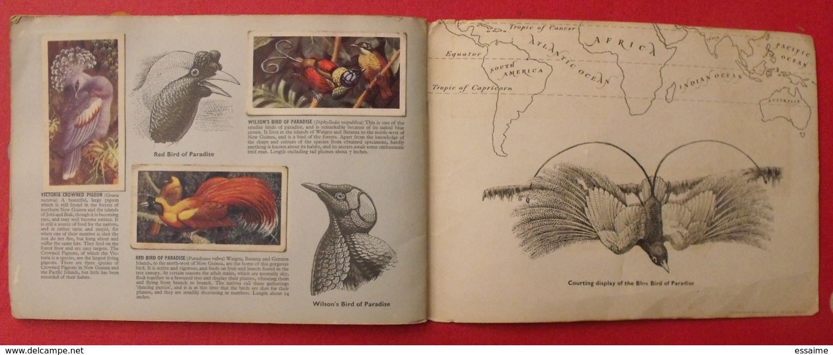 album d'images tea brooke bond pictures cards. tropical birds, oiseaux tropicaux. 1969. 50 chromo