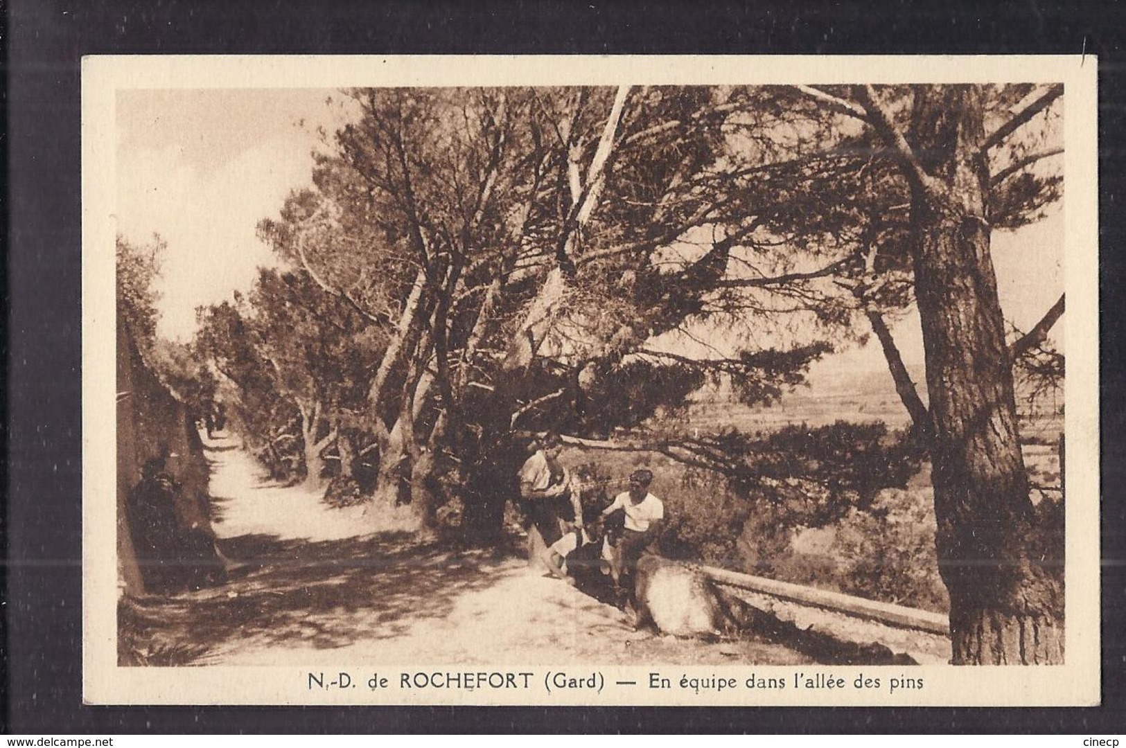 CPA 30 - N.-D. De ROCHEFORT - En équipe Dans L'allée Des Pins - TB PLAN ANIMATION Sur Chemin - Rochefort-du-Gard