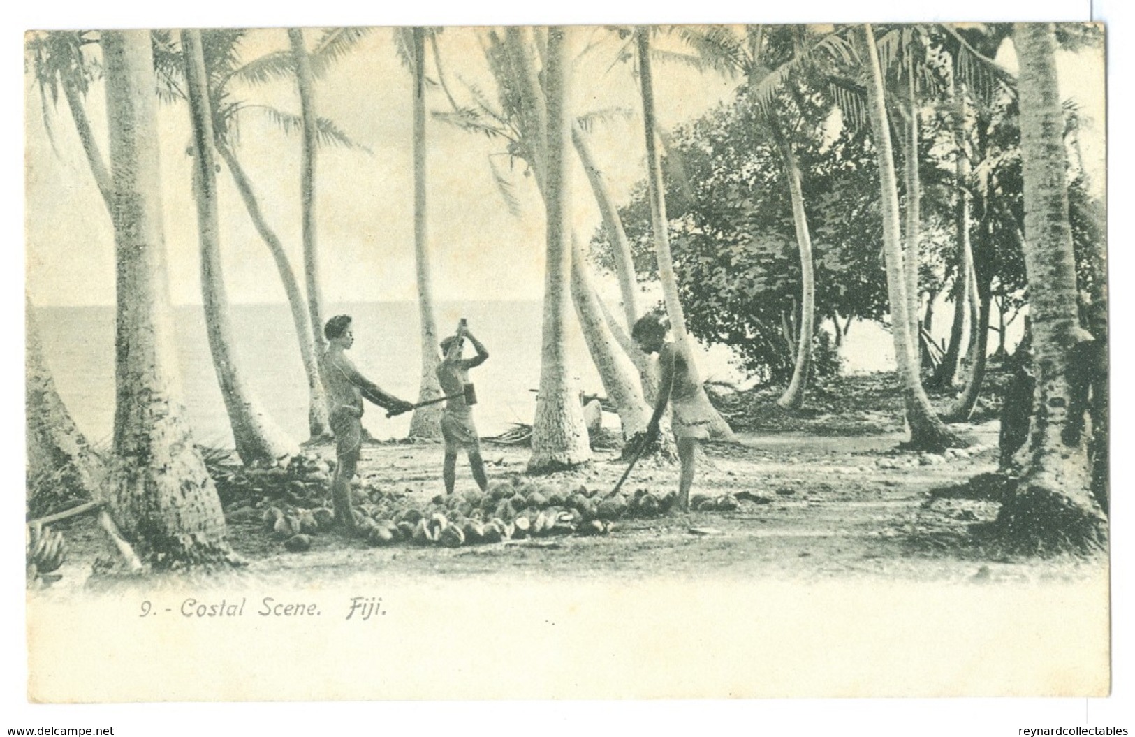 Vintage Fiji, Coastal Scene Local Men Harvesting Coconuts Pc Unused.. - Fiji