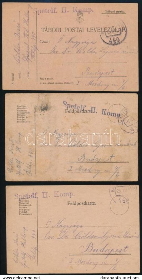 1917 3 Db Tábori Posta Levelezőlap / 3 Field Postcards 'Spetelf. H. Komp.' + 'FP 440' - Sonstige & Ohne Zuordnung