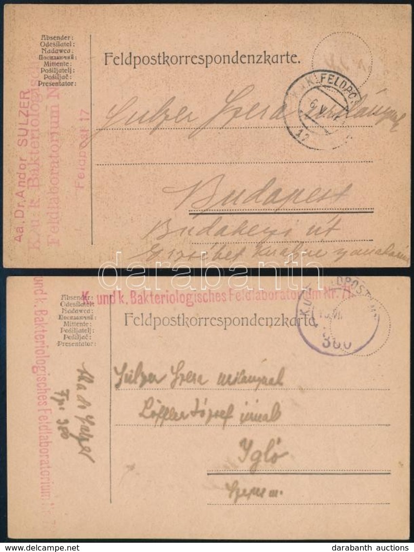 1916 2 Db Tábori Posta Levelezőlap / 2 Field Postcards 'K. Und K. Bakteriologisches Feldlaboratorium Nr.71.' - Sonstige & Ohne Zuordnung