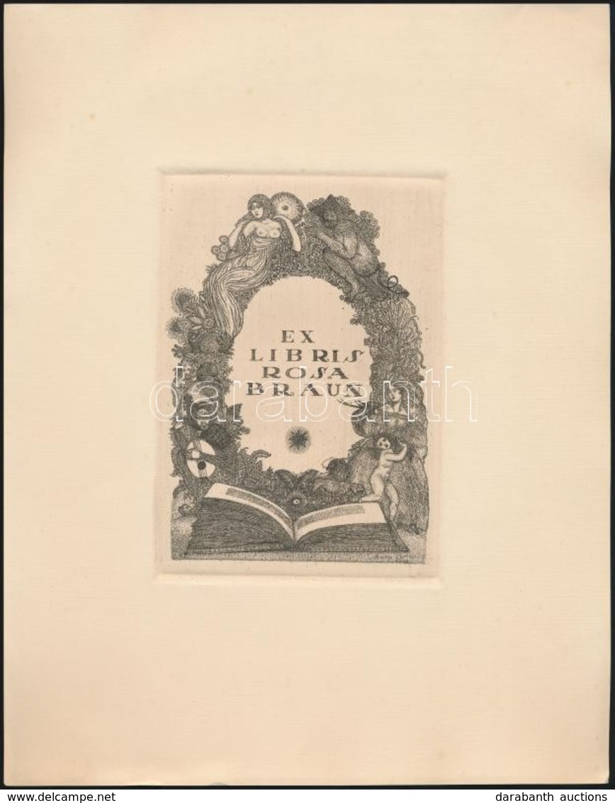 Gara Arnold (1882-1929): Ex Libris Rosa Braun 1913. Rézkarc, Papír. 10x15 Xm - Autres & Non Classés