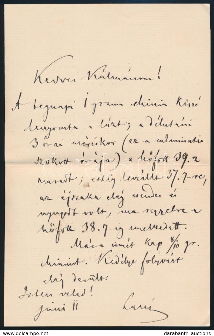 1886 VÉDETT! Arany László (1844-1898) Tragikus Levele Sógorának, Szél Kálmán Nagyszalontai Esperesnek, Melyben Hírt Ad H - Zonder Classificatie