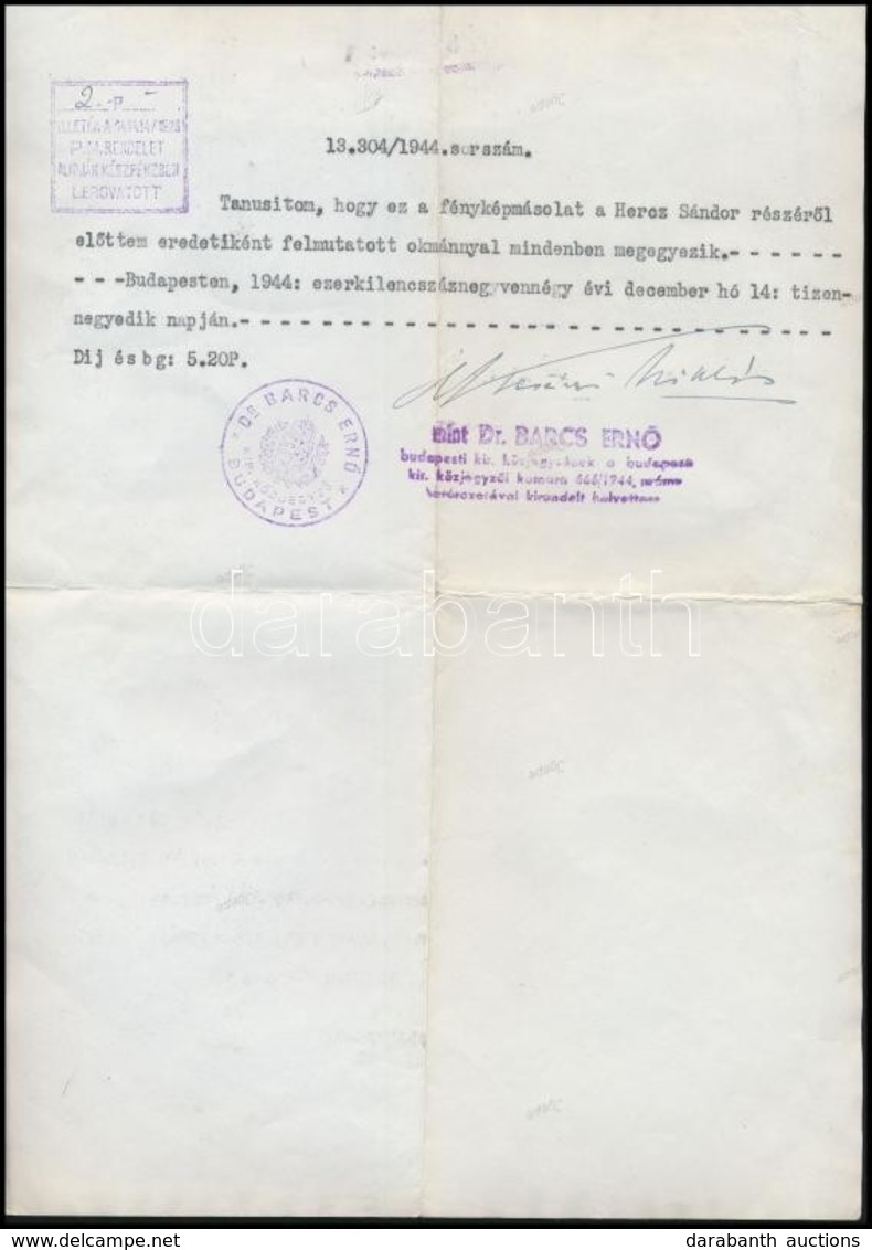 1944 Svájci Követségi Védlevél (Schutzpass) Hiteles Másolata Hercz Sándor és Családja Részére, Hátulján Közjegyzői Hitel - Sonstige & Ohne Zuordnung