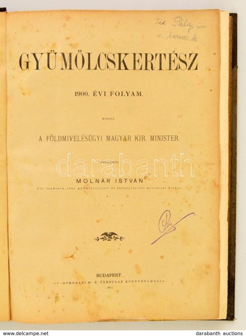 1900 Gyümölcskertész. X. évf. 1-24. Szám. Teljes évfolyam. Szerk.: Rudinai Molnár István. Bp.,1900, Athenaeum, 1 T. (Szí - Non Classés