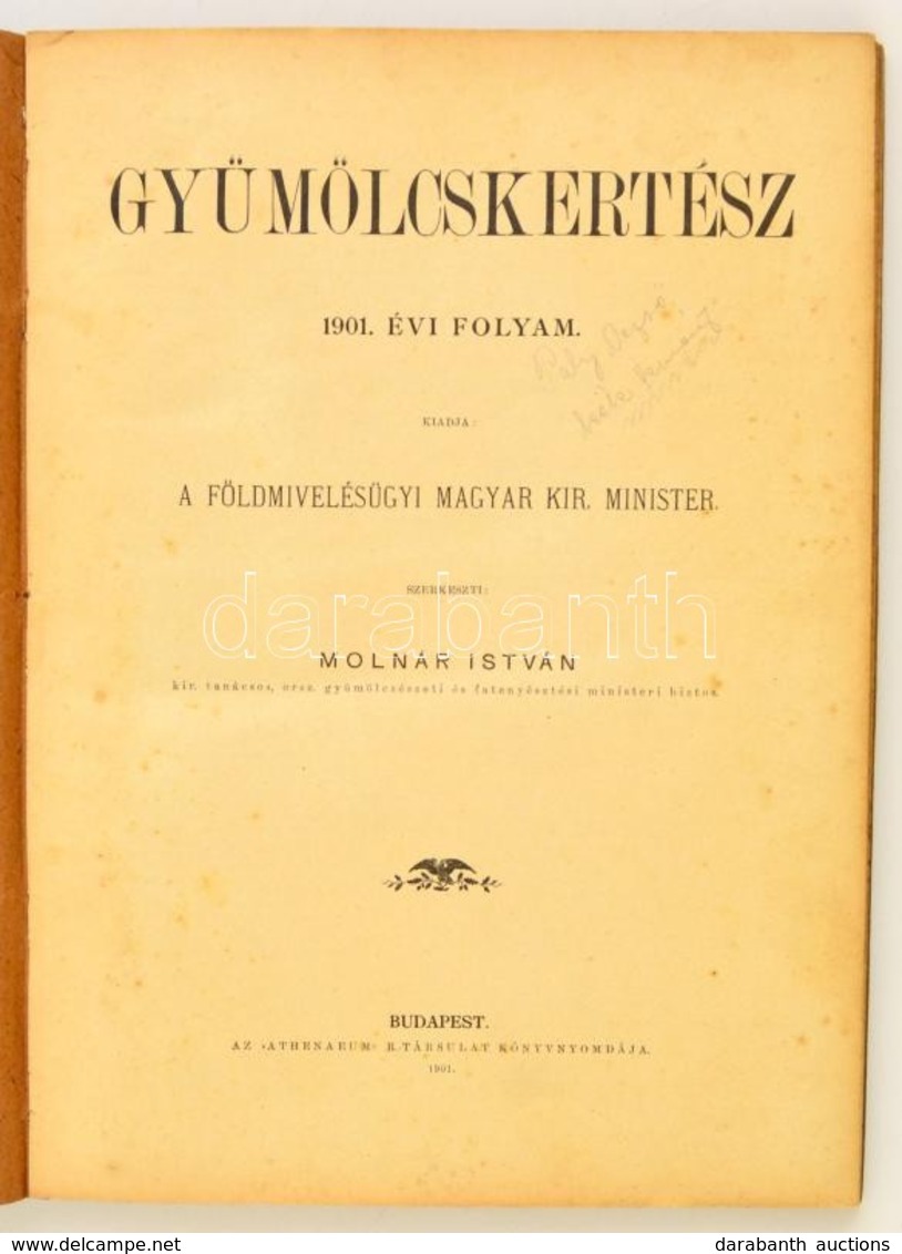 1901 Gyümölcskertész. XI. évf. 1-24. Szám. Teljes évfolyam. Szerk.: Rudinai Molnár István. Bp.,1901, Athenaeum, VIII+206 - Non Classés