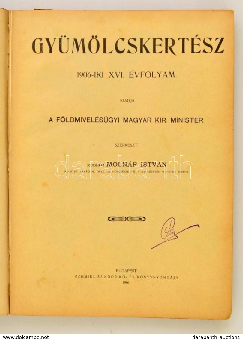 1906 Gyümölcskertész. XVI. évf. 1-24. Szám. Teljes évfolyam. Szerk.: Rudinai Molnár István. Bp.,1906, Athenaeum, 1 T. (S - Ohne Zuordnung