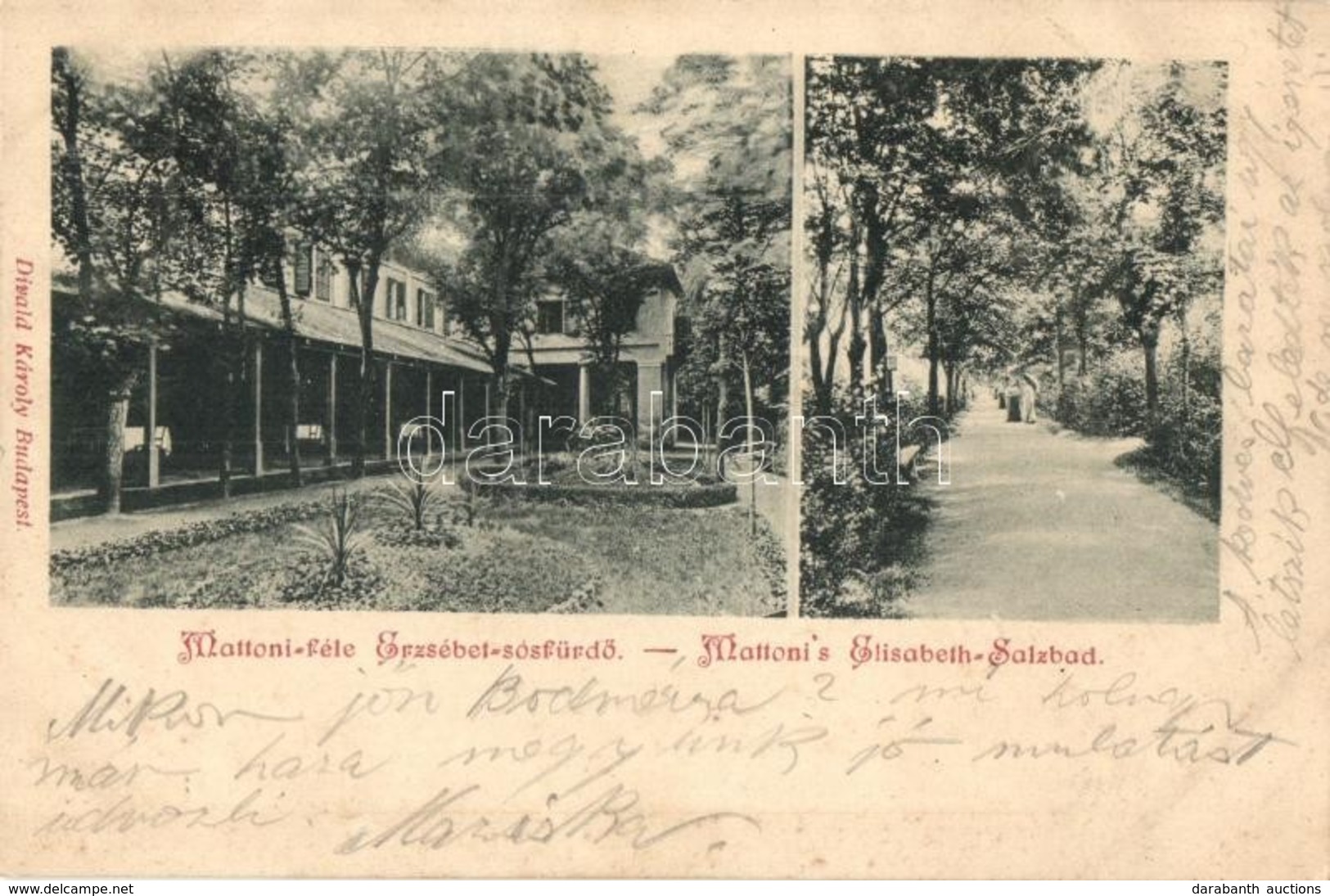 T2 1901 Budapest XI. Kelenföld, Mattoni-féle Erzsébet Sósfürdő Kertje. Divald Károly 374. - Ohne Zuordnung