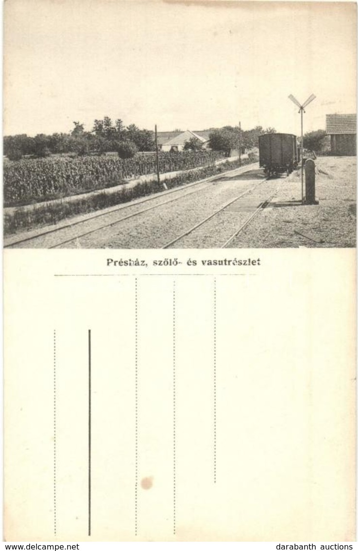 ** T1/T2 Cegléd, Végh Sándor Szőlőnagybirtokos Szőlő és Pincegazdasága, Présház, Szőlő és Vasút Részlet/ Hungarian Viney - Ohne Zuordnung