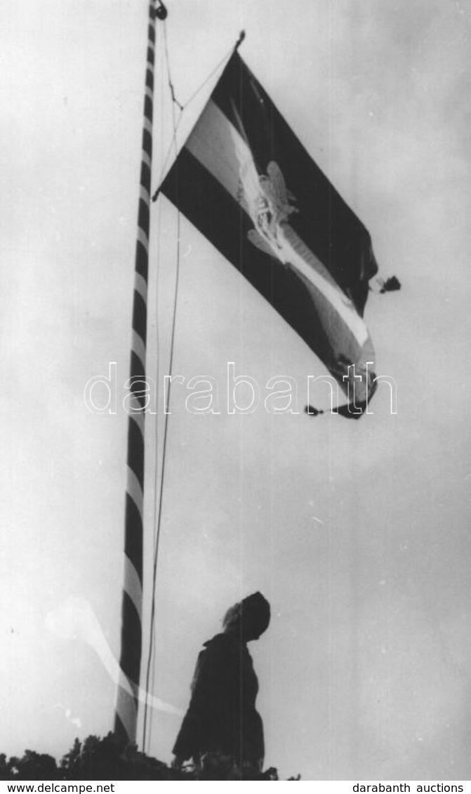 * T1/T2 1940 Nagyszalonta, Salonta; Országzászló Avatás, Lobogó Zászló  / Hungarian Flag Inauguration, Flying Flag. Zsák - Ohne Zuordnung