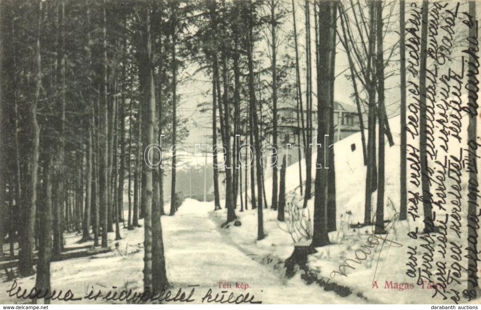 T2 Tátra, Téli Kép A Fák Között, Szálloda A Háttérben. Divald Károly 2076-1909. / Winter, Hotel In The Background - Ohne Zuordnung