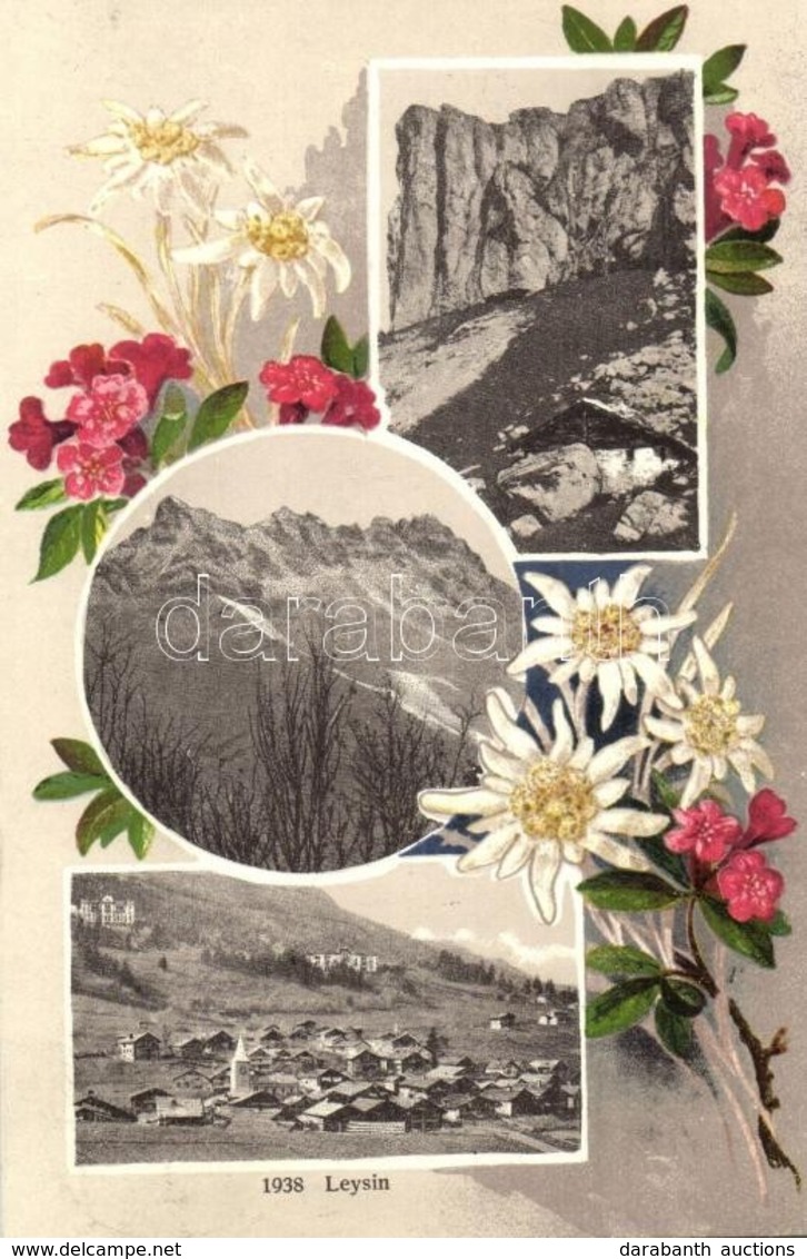 T2 1909 Leysin. Floral Litho Montage - Ohne Zuordnung