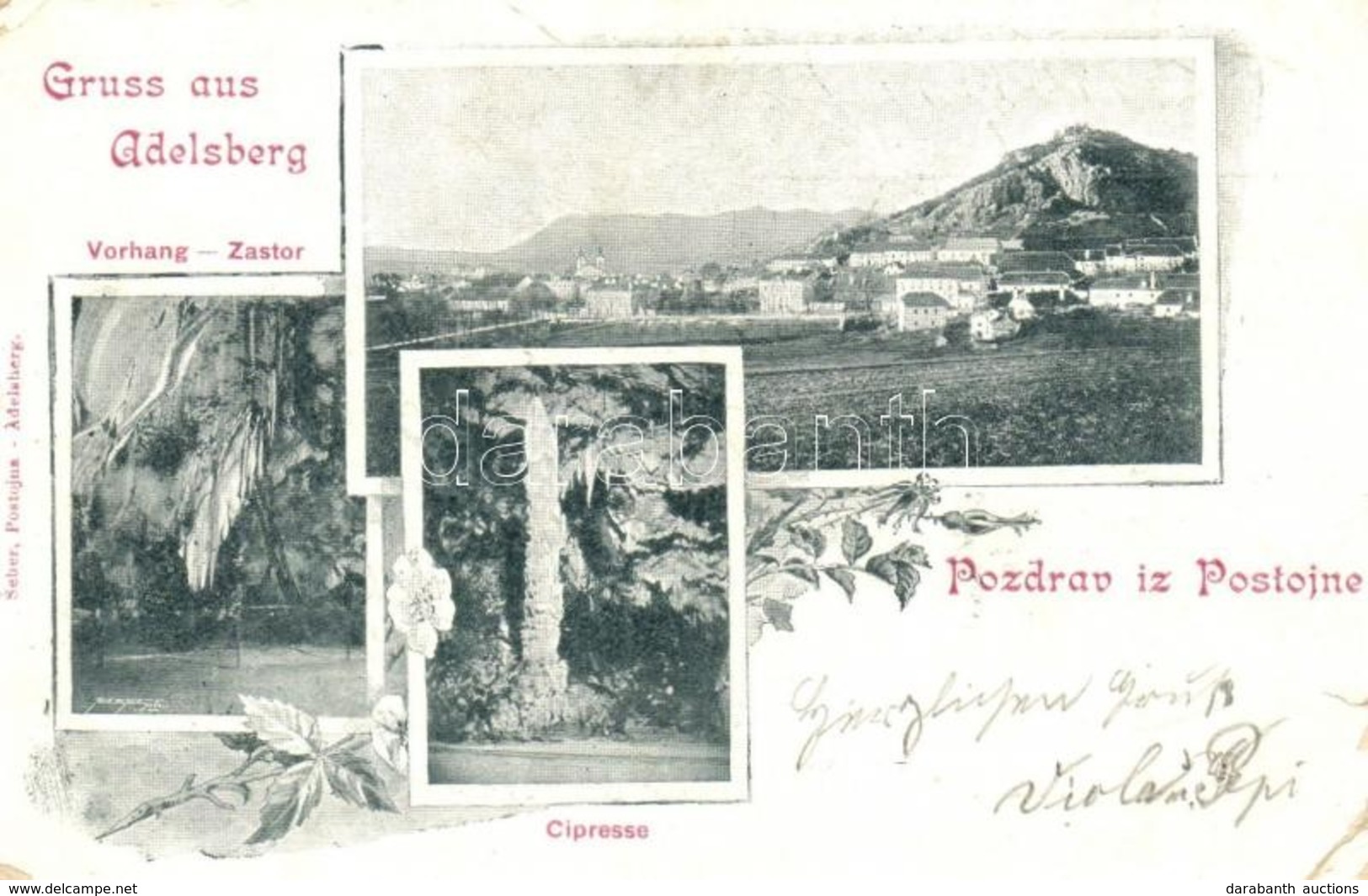 * T2/T3 1899 Postojna, Adelsberg; Vorhang, Zastor, Cipresse / Karst Cave Interior. Floral (EK) - Ohne Zuordnung