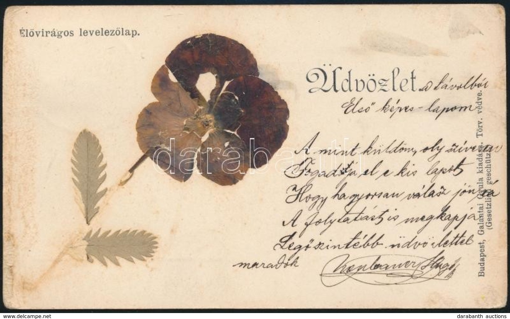 T2/T3 1899 Élővirágos Levelezőlap. Galantai Gyula Kiadása / Greeting Card With Real Flower (EK) - Ohne Zuordnung