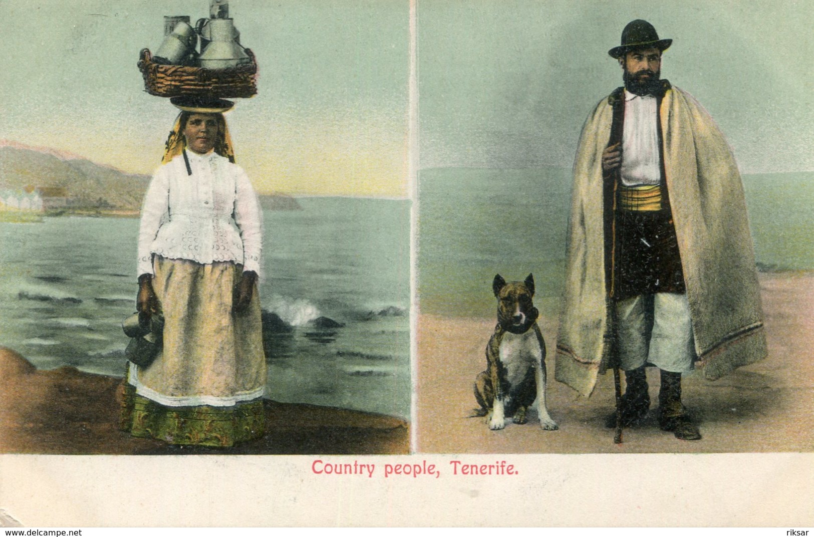 ESPAGNE(TENERIFE) TYPE - Tenerife