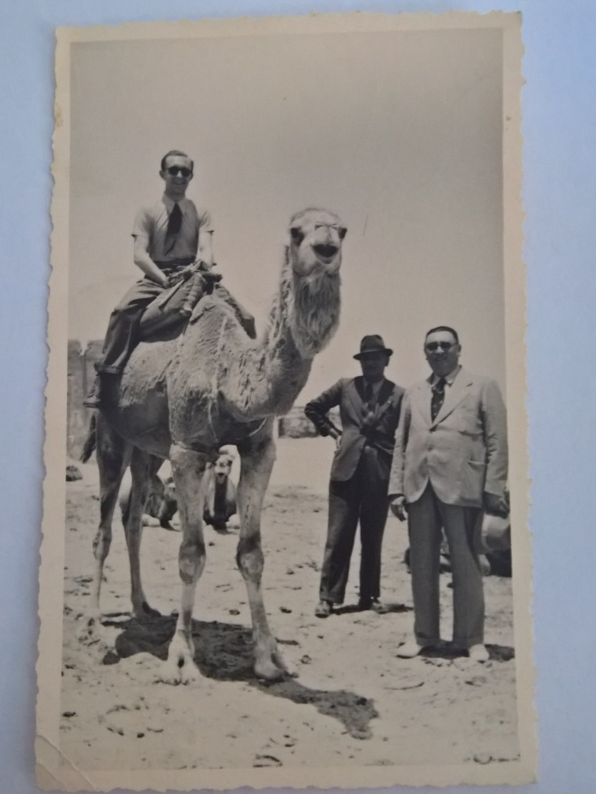 Foto Cartolina Anno 1939 Viaggiata Con Francobollo Libia Cirenaica - Libia