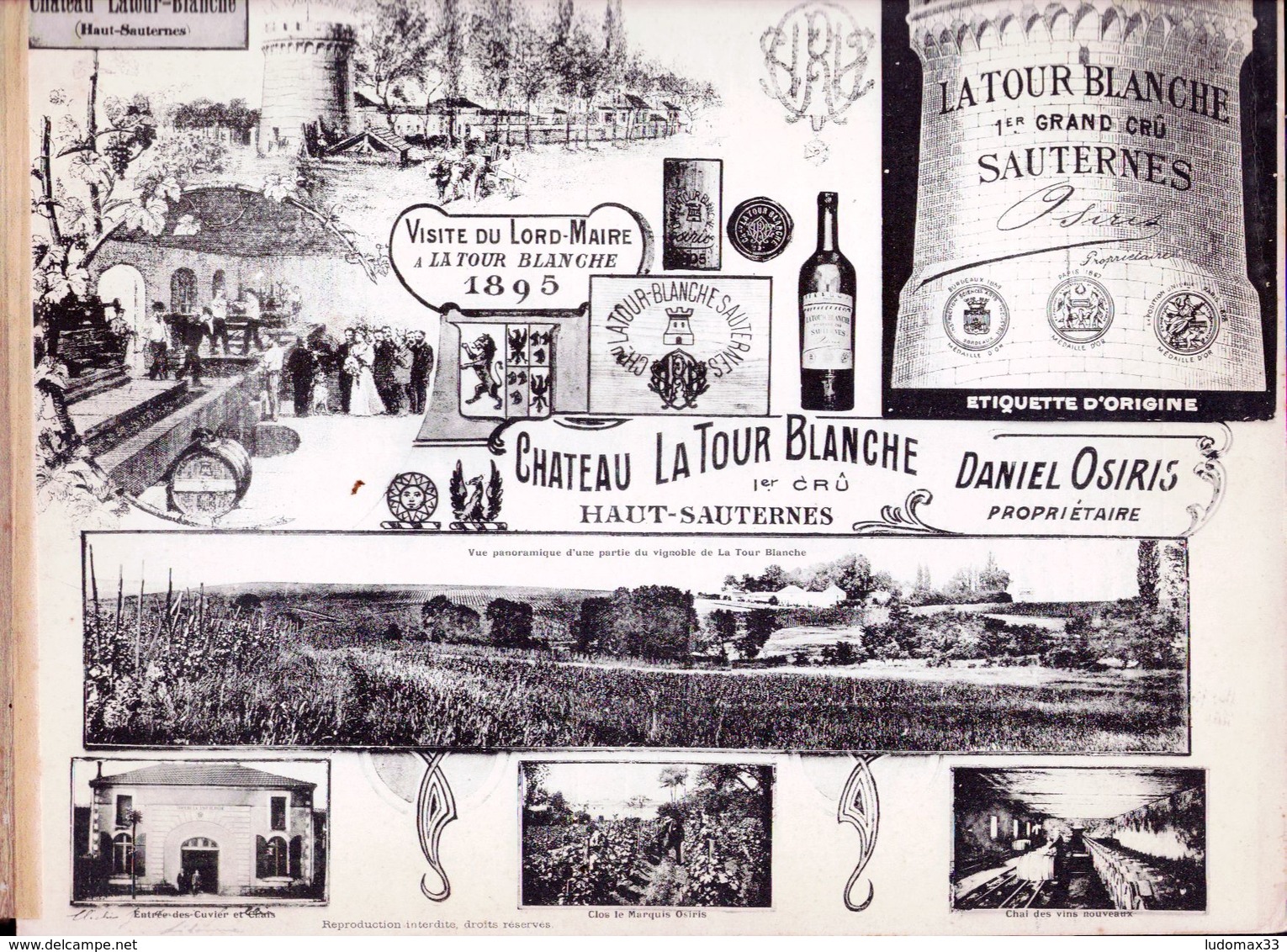 Planche Photos DEBUT 1900 ,Chateau  La Tour Blanche ,Sauternes  Proprietaire Daniel Osiris - Autres & Non Classés