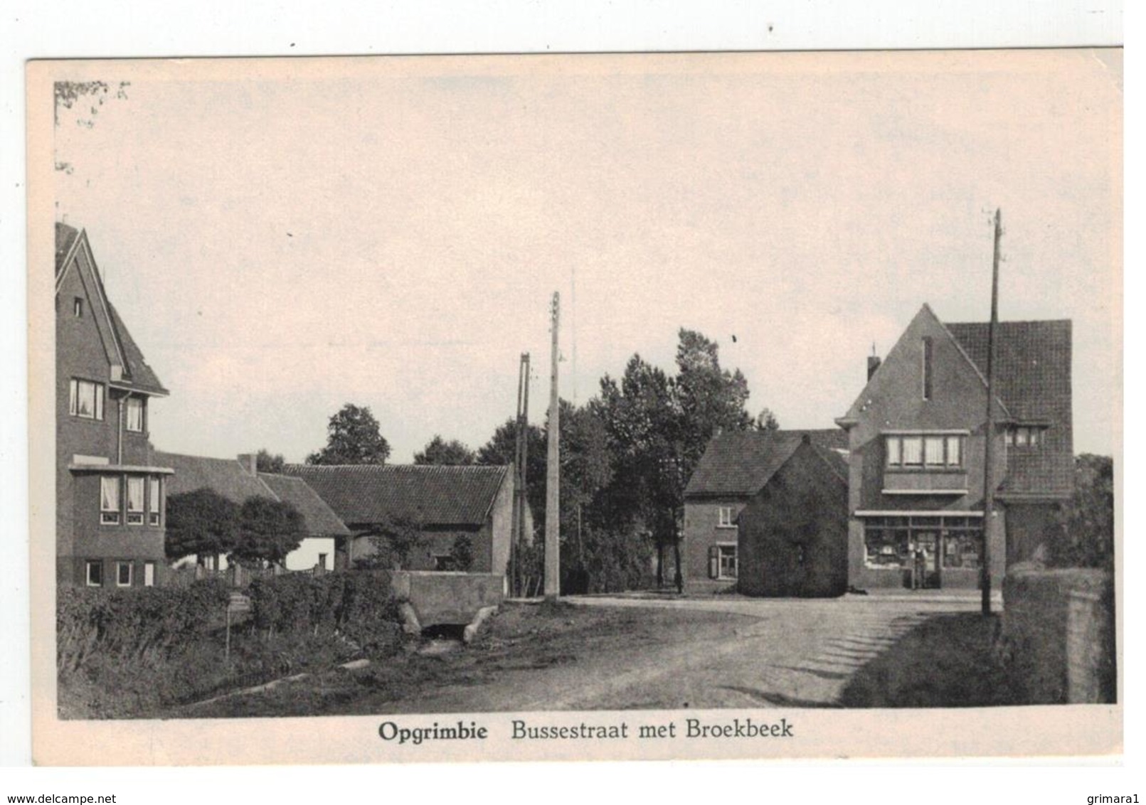 Opgrimbie   Bussestraat Met Broekbeek - Maasmechelen