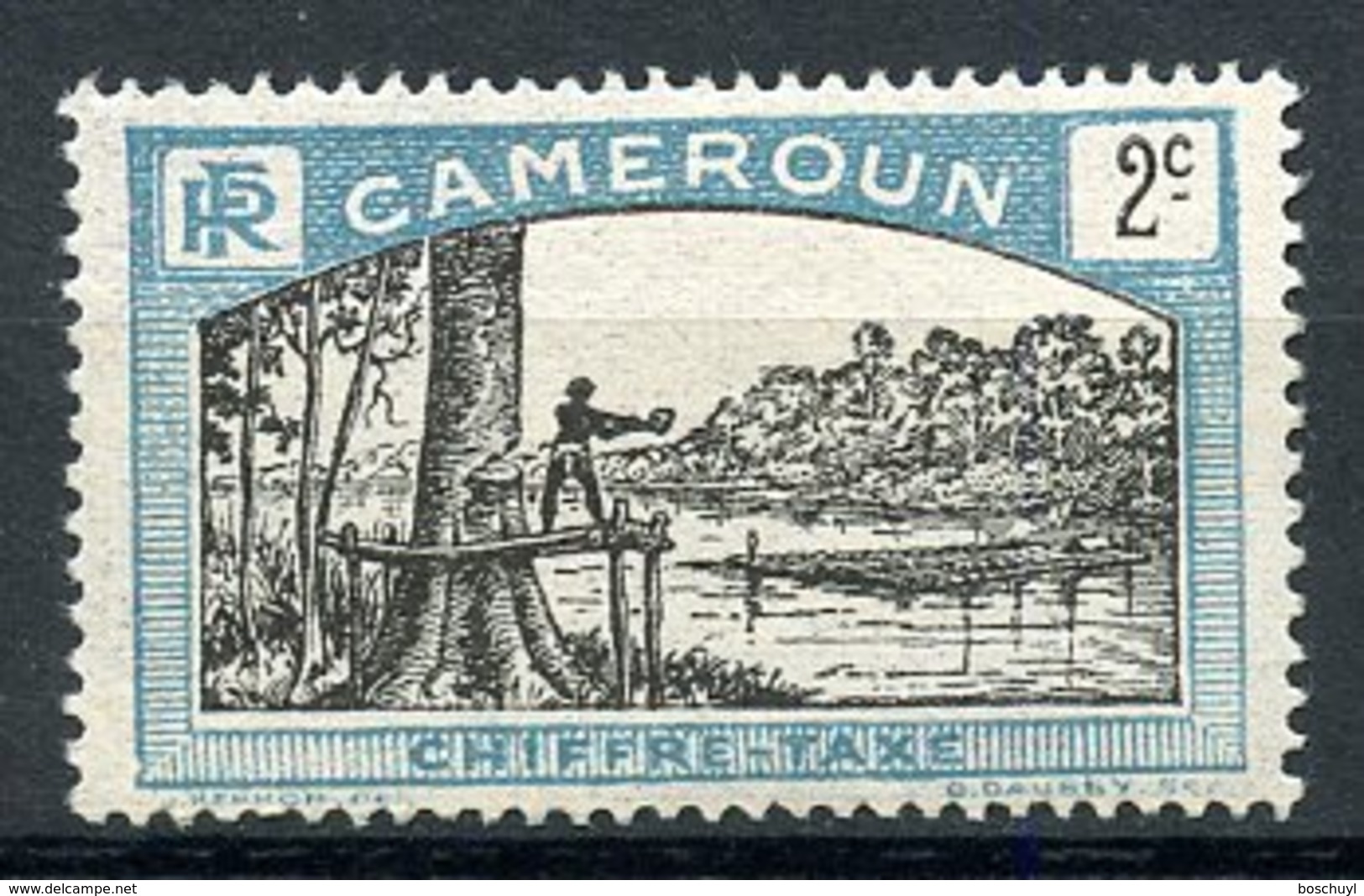 Cameroun, 1925, Lumberjack, Postage Due, 2 C., MNH, Michel 1 - Andere & Zonder Classificatie