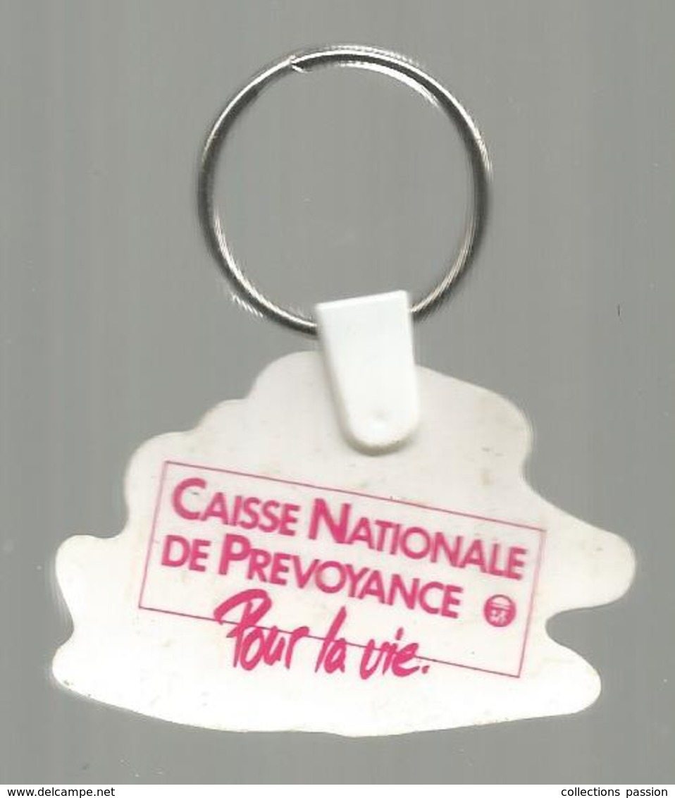 Porte Clefs, Clés  , Caisse Nationale De Prévoyance , Pour La Vie , 2 Scans ,  Frais Fr 1.95 E - Porte-clefs